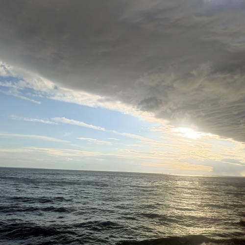 Photo #13769242