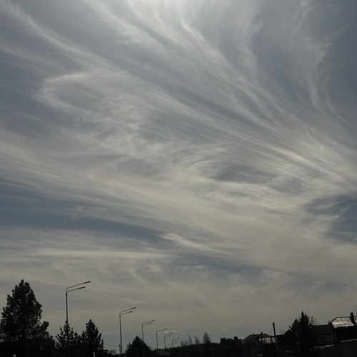 Photo #13769275