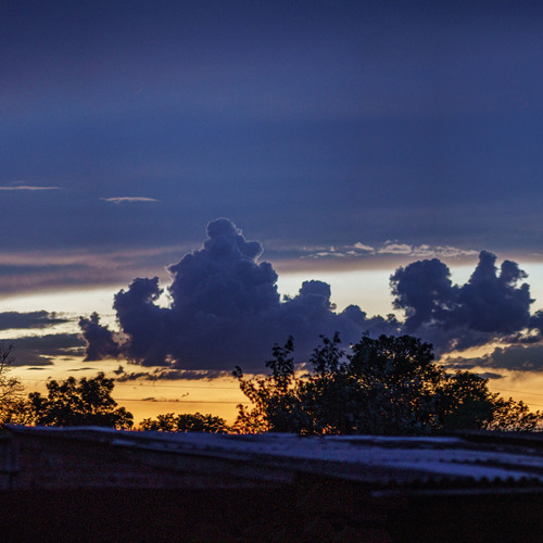 Photo #13769330