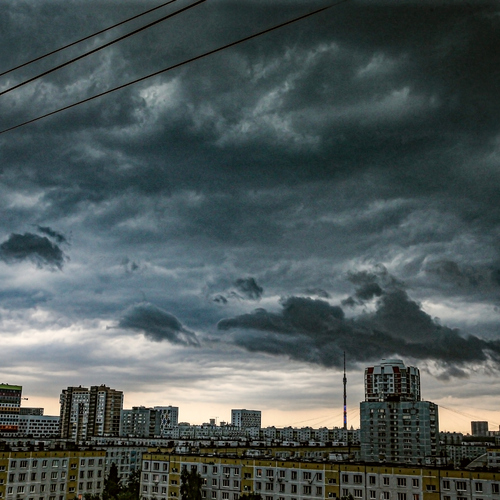 Photo #13769368