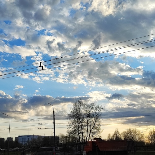 Photo #13769374