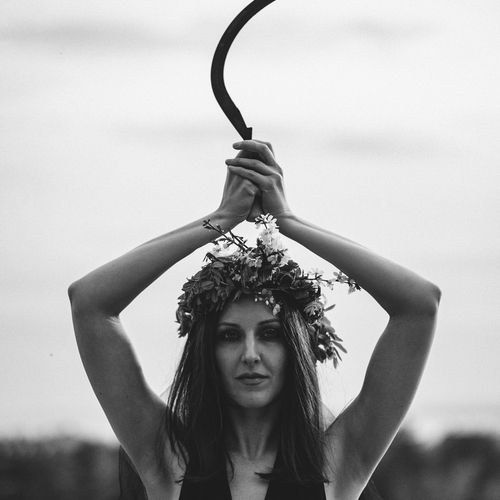 Photo #13769402