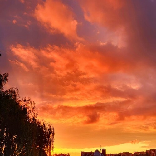 Photo #13769403