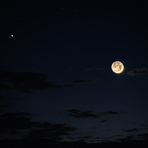 Photo #13769418