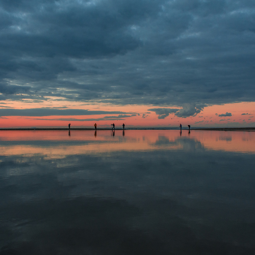 Photo #13769443