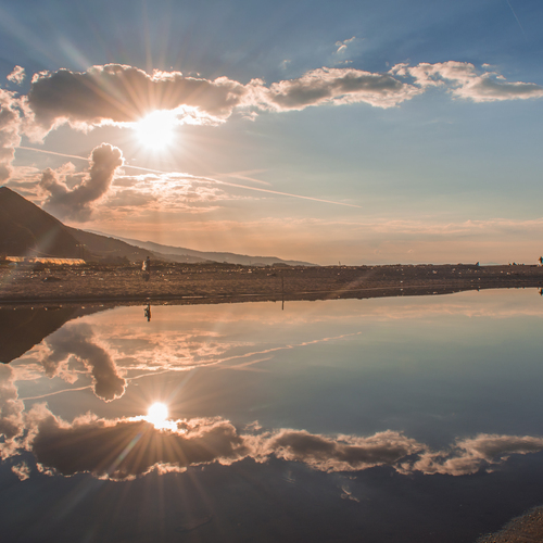 Photo #13769458