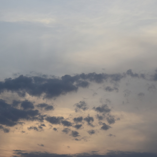 Photo #13769470
