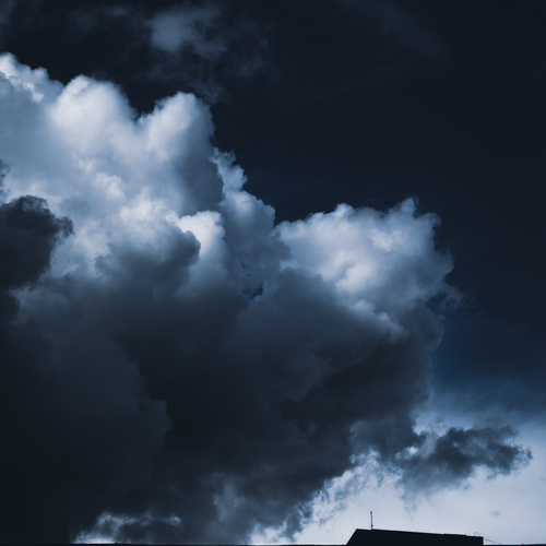 Photo #13769487