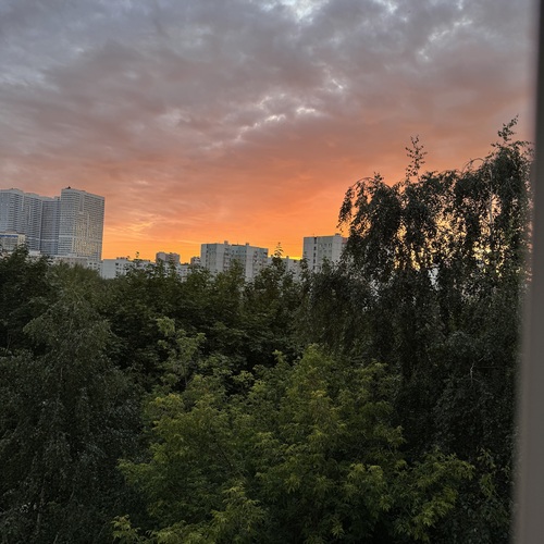 Photo #13769551