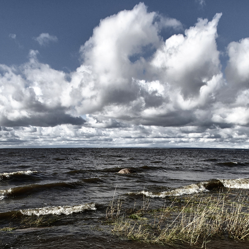 Photo #13769561