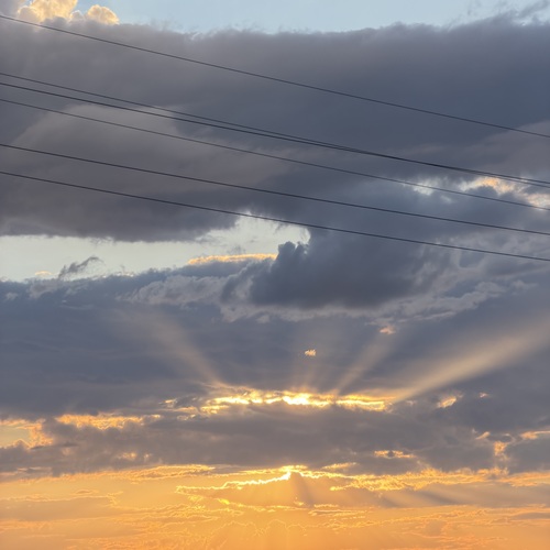 Photo #13769580