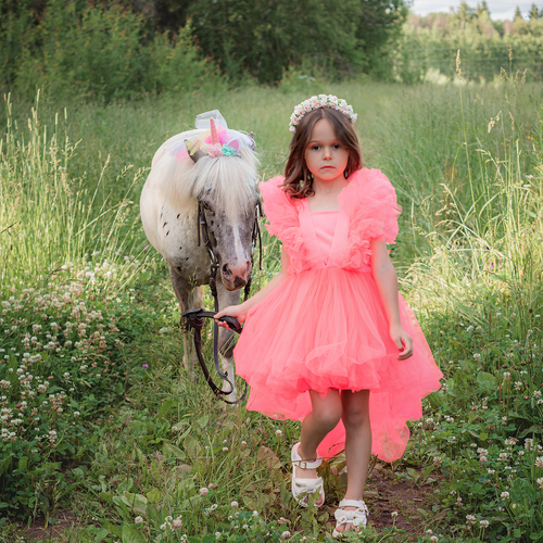 Photo #13769719
