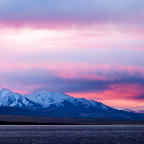 Photo #13769734