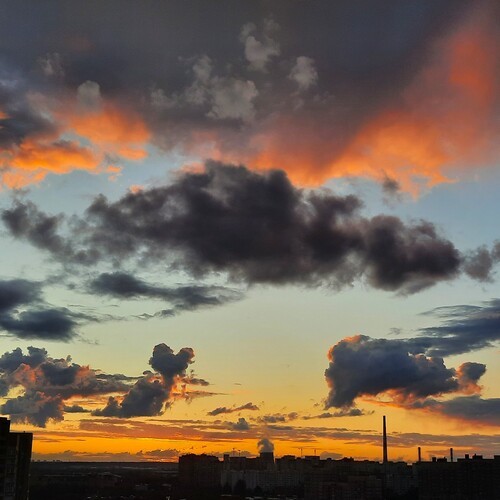 Photo #13769735
