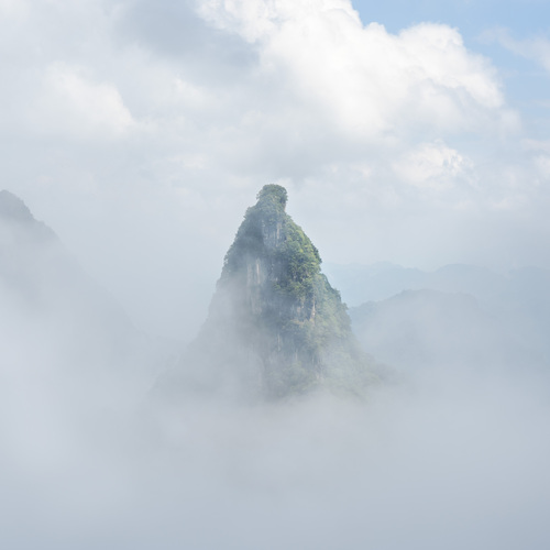 Photo #13769751