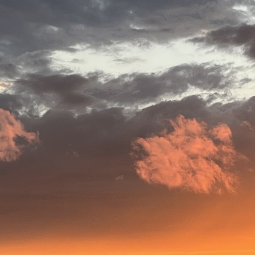 Photo #13769769