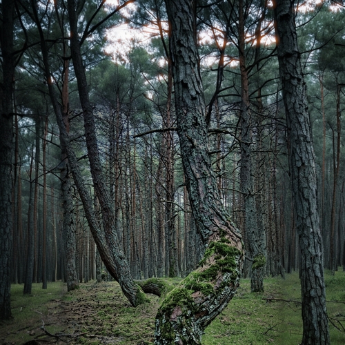 Photo #13769852