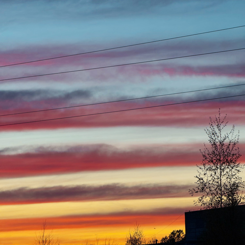 Photo #13769862