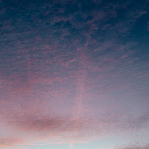 Photo #13769863