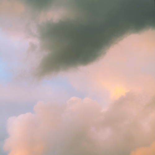Photo #13769864