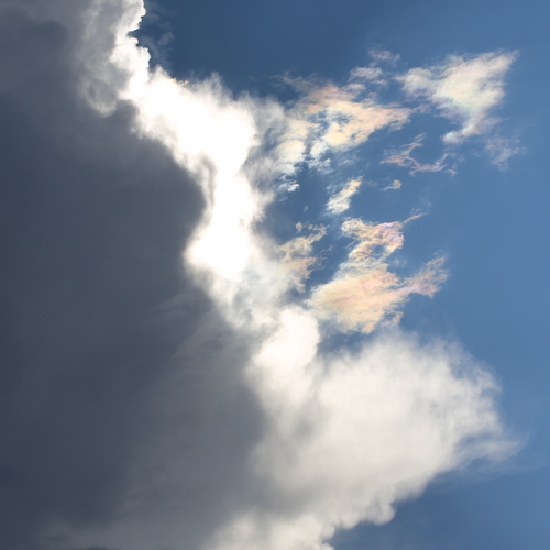 Photo #13769882