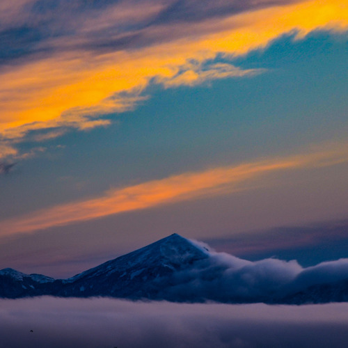 Photo #13769958