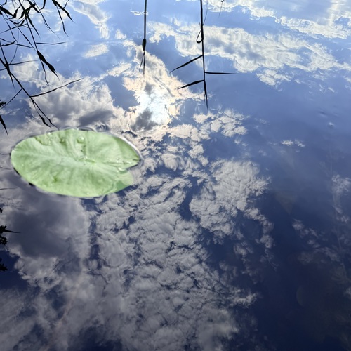 Photo #13770045