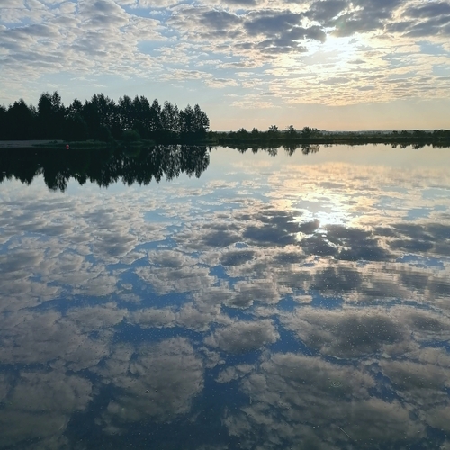Photo #13770065
