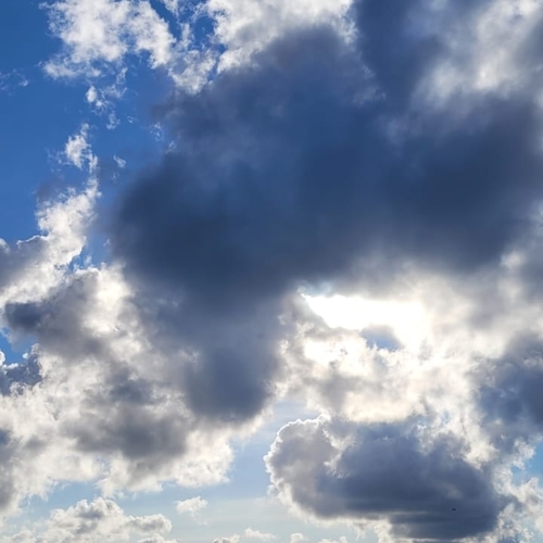 Photo #13770067