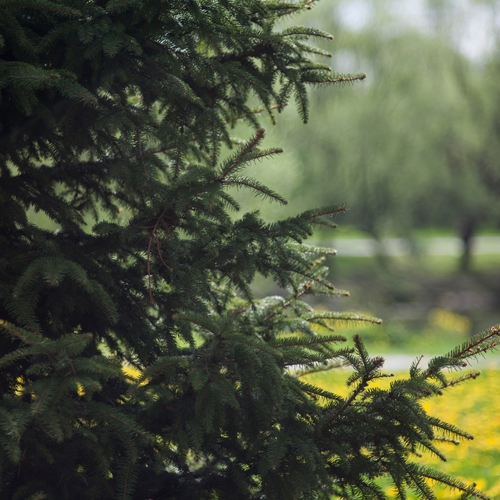 Photo #13770100
