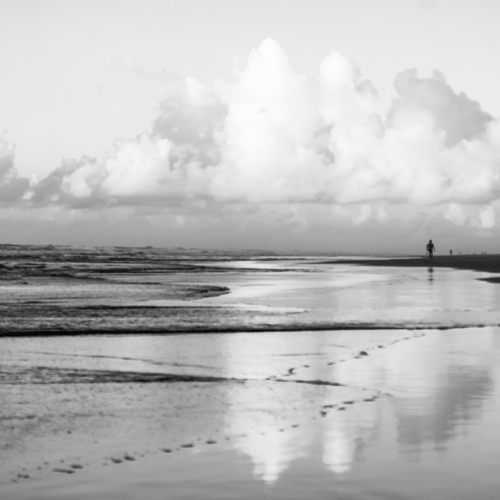 Photo #13770134