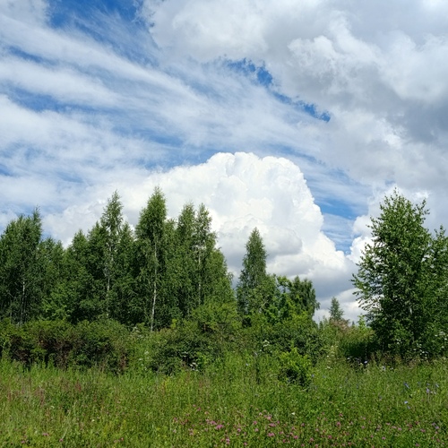 Photo #13770168