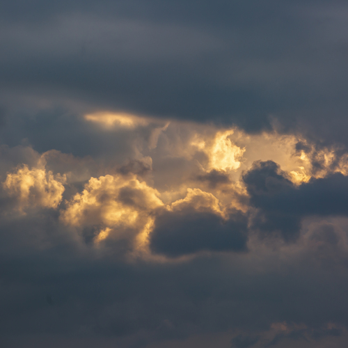 Photo #13770221