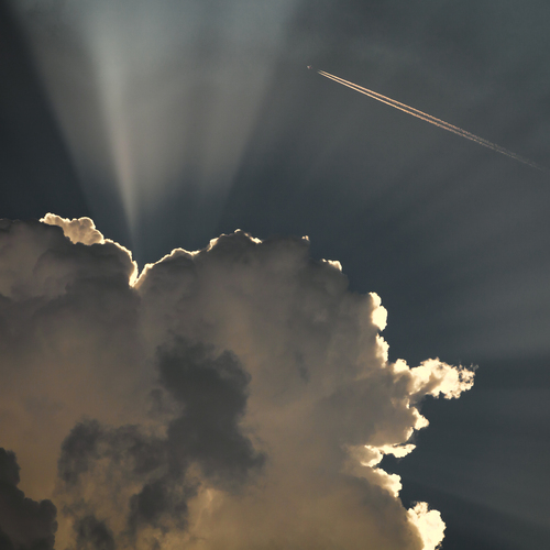 Photo #13770330