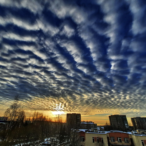 Photo #13770347