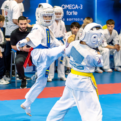 Photo #13770365