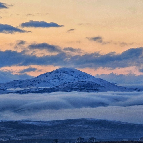 Photo #13770372
