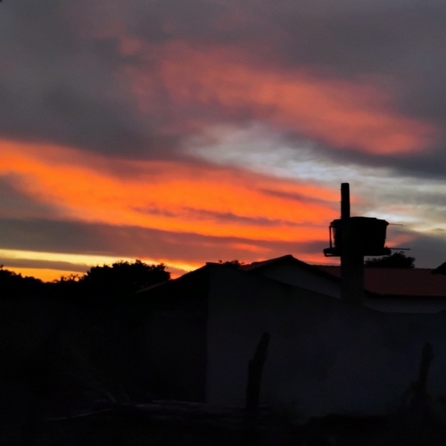 Photo #13770437