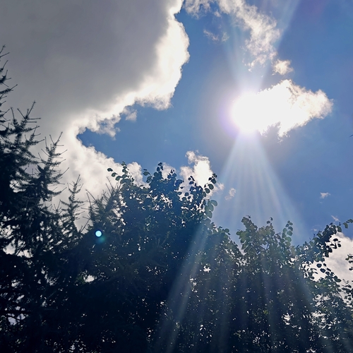 Photo #13770521