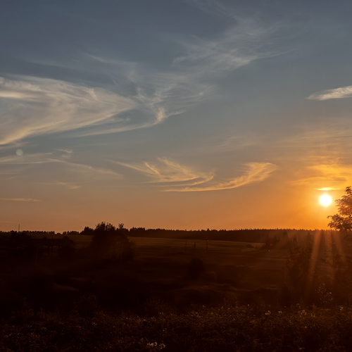 Photo #13770586