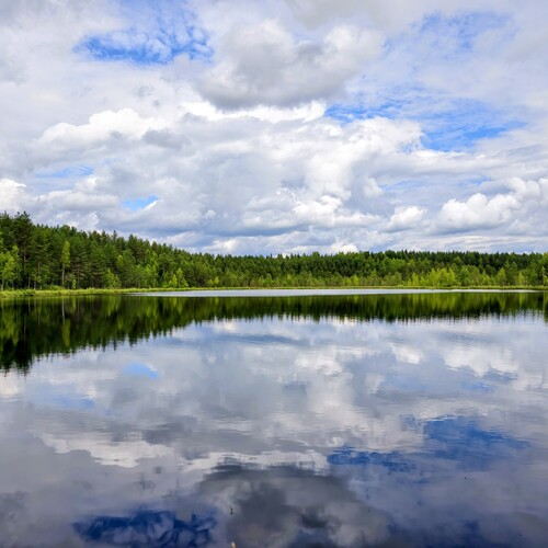 Photo #13770588