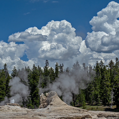 Photo #13770611