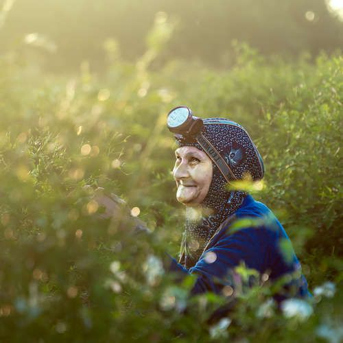 A Smile That Blooms at Dawn
