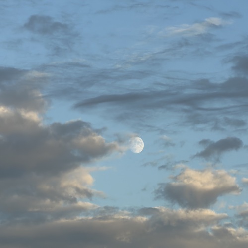 Photo #13770700