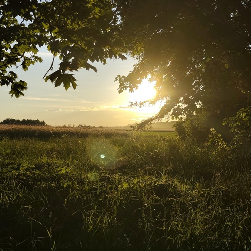 Photo #13770712