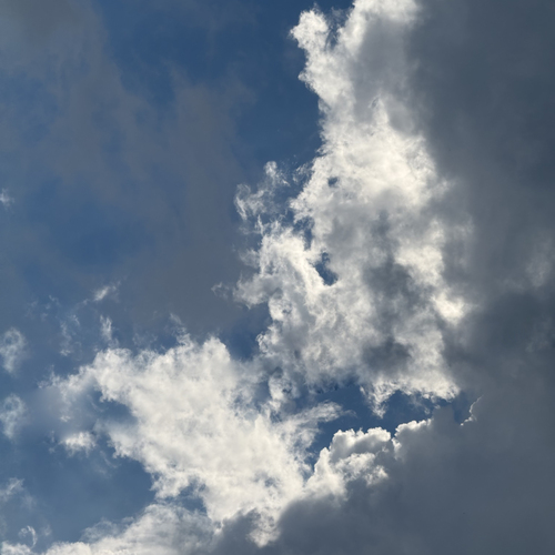 Photo #13770847