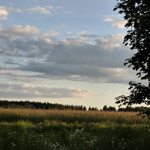 Photo #13770875