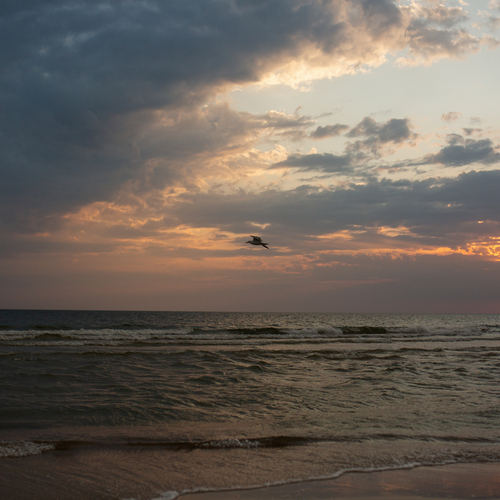Photo #13770903