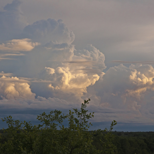 Photo #13770982