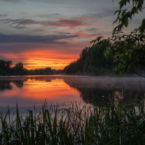 Photo #13770984